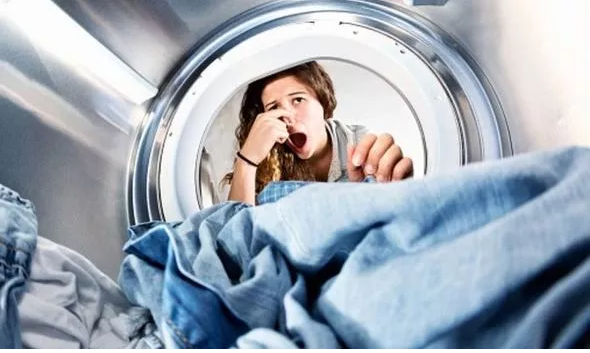 Why Does a Washing Machine Have a Bad Smell