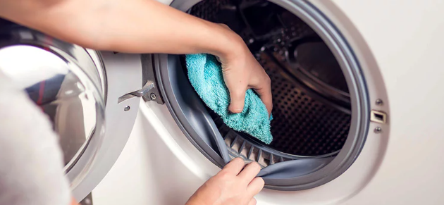 How to Remove Mold from Rubber Seal on Washing Machine