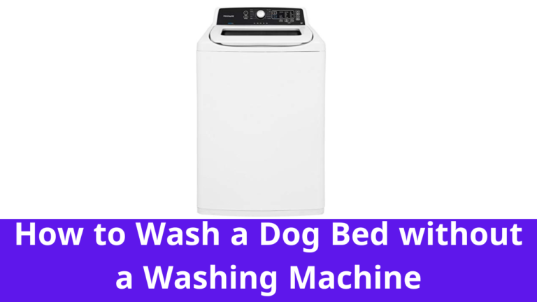 How to Wash a Dog Bed without a Washing Machine